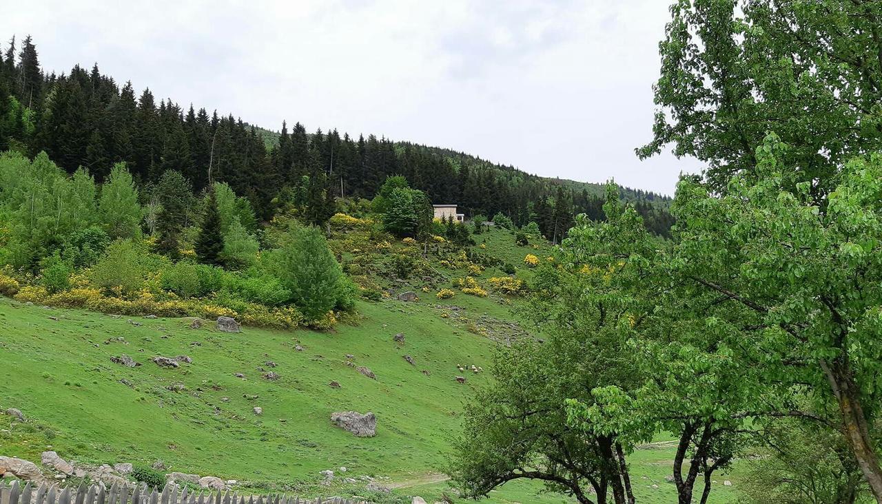 Отель Fafo Zhabeshi Экстерьер фото