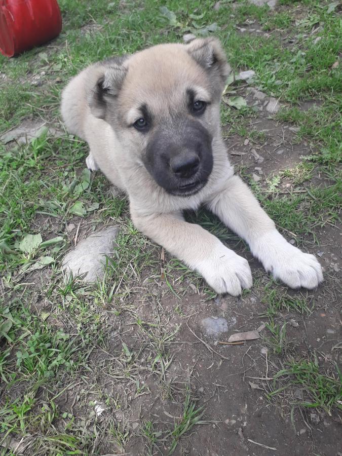 Отель Fafo Zhabeshi Экстерьер фото